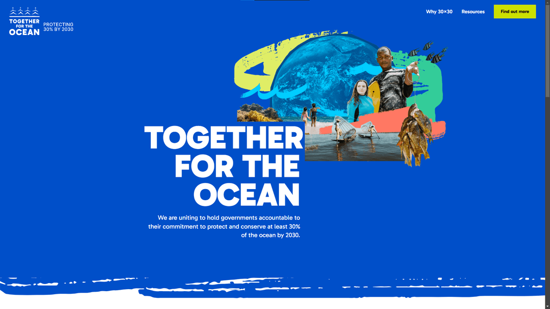 Together for the Ocean